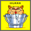mur-mur